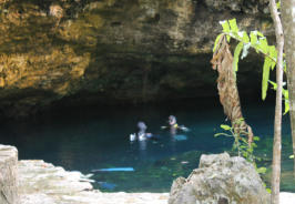 Cave Diving in the Cenote Riviera Maya Mexico