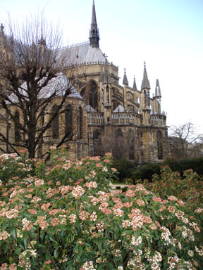 Picture of Reims Cathedral Reims France