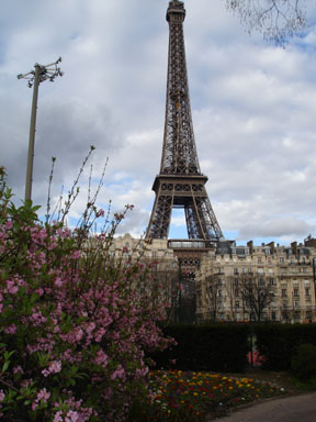 picture of eiffel tower and flowers in Paris France