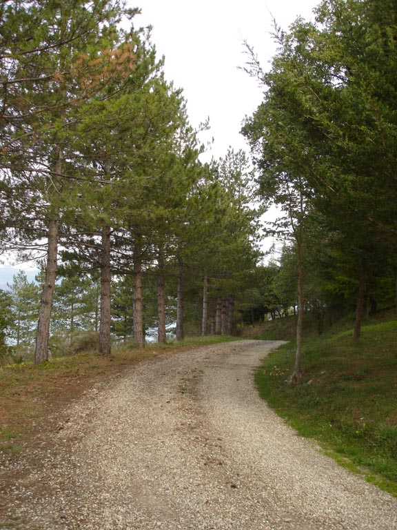 The road UP to Calcinaia sul Lago